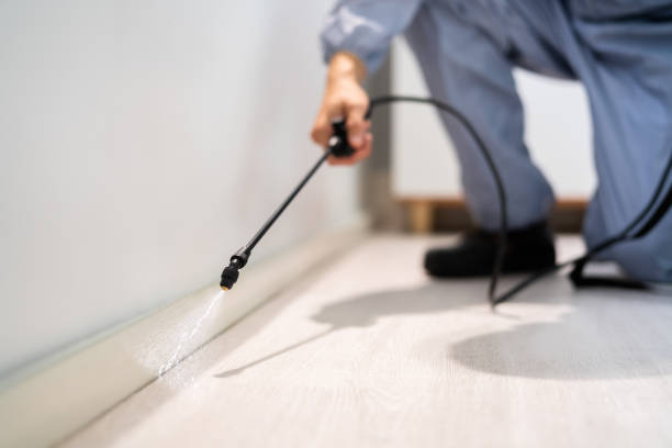 Licensed Pest Control service in Grants, NM - Show Me Pest Control