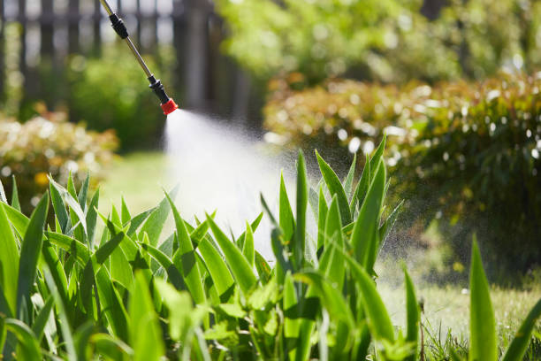 Tamper-Resistant Bait Stations for Rodents in Grants