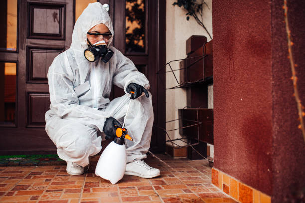 Attic and Crawl Space Rodent Treatment in Grants